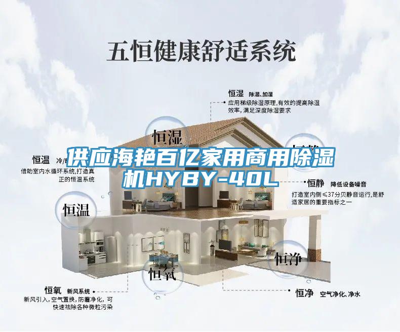 供應(yīng)海艷百億家用商用除濕機HYBY-40L