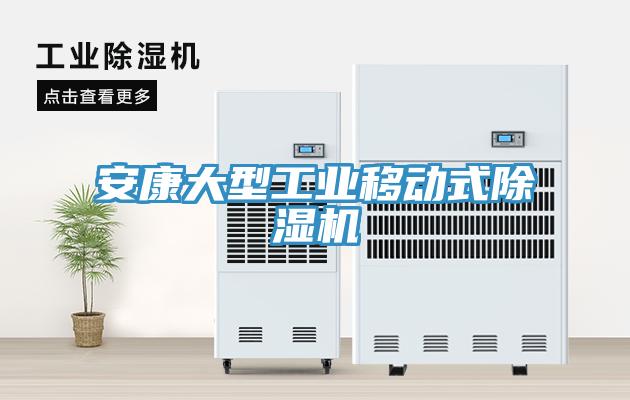 安康大型工業移動式除濕機