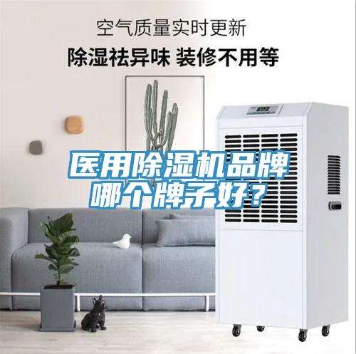 醫用除濕機品牌哪個牌子好？