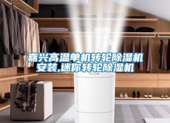嘉興高溫單機轉輪除濕機安裝,迷你轉輪除濕機