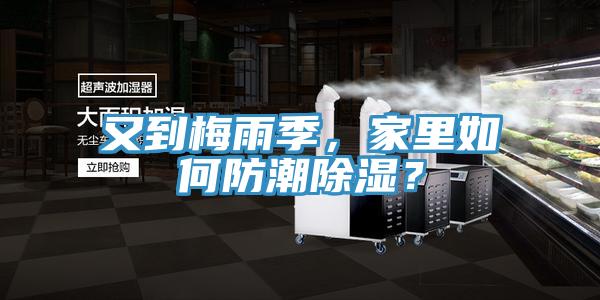 又到梅雨季，家里如何防潮除濕？
