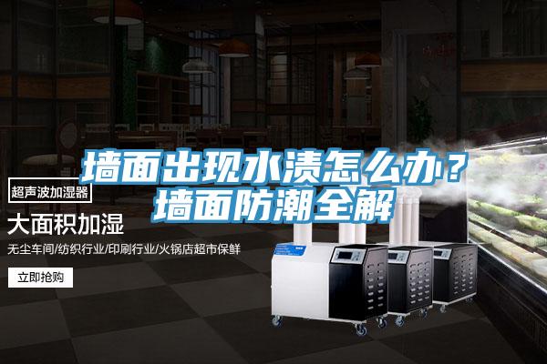 墻面出現(xiàn)水漬怎么辦？墻面防潮全解