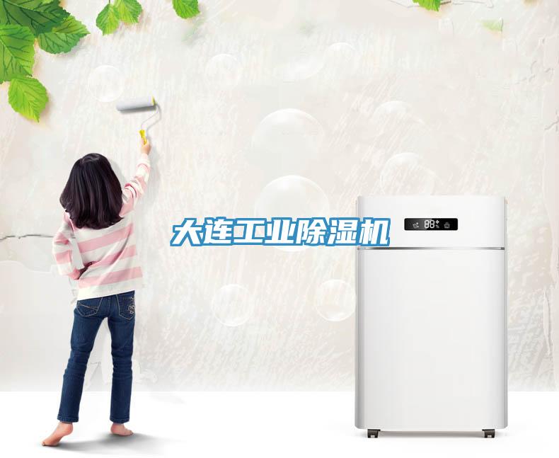 大連工業除濕機