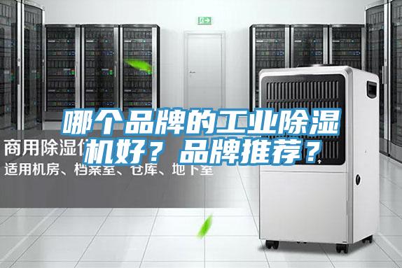 哪個(gè)品牌的工業(yè)除濕機(jī)好？品牌推薦？