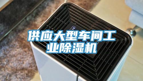 供應(yīng)大型車間工業(yè)除濕機