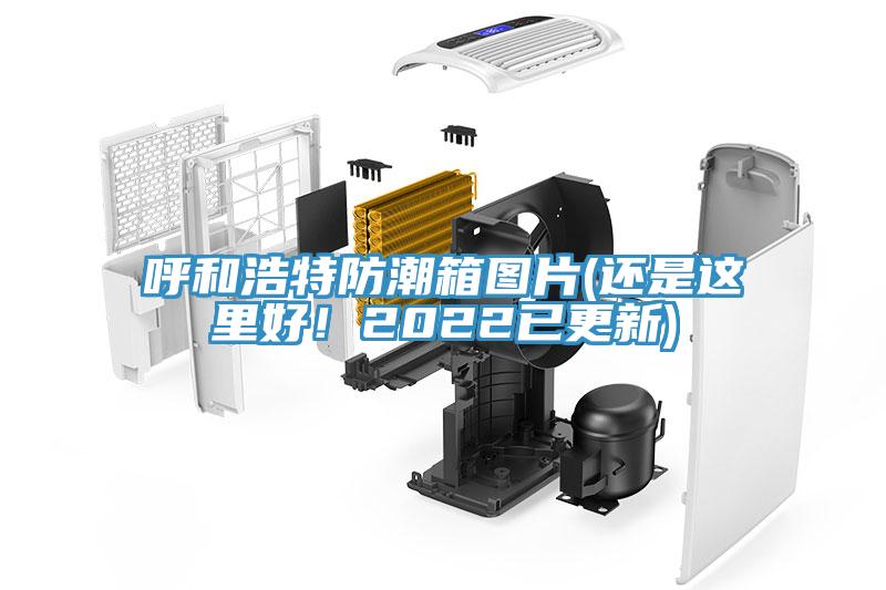 呼和浩特防潮箱圖片(還是這里好！2022已更新)