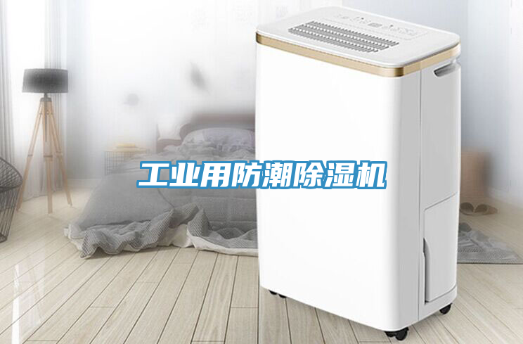 工業(yè)用防潮除濕機(jī)