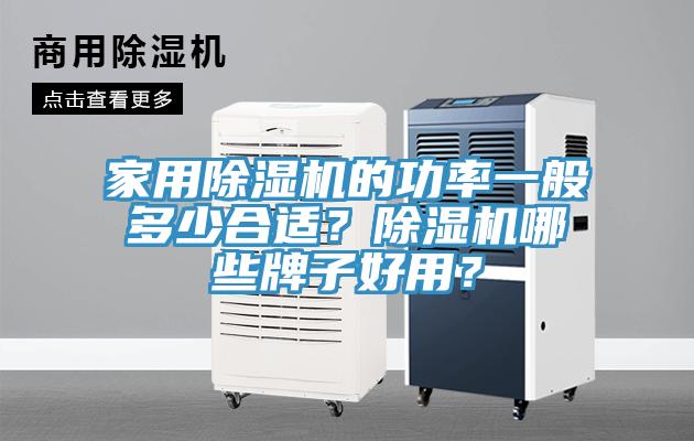 家用除濕機的功率一般多少合適？除濕機哪些牌子好用？