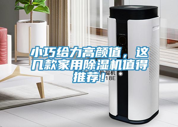 小巧給力高顏值，這幾款家用除濕機值得推薦！