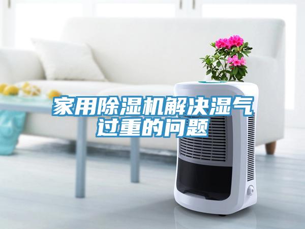 家用除濕機解決濕氣過重的問題