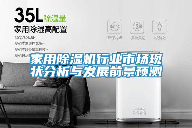 家用除濕機行業(yè)市場現(xiàn)狀分析與發(fā)展前景預測