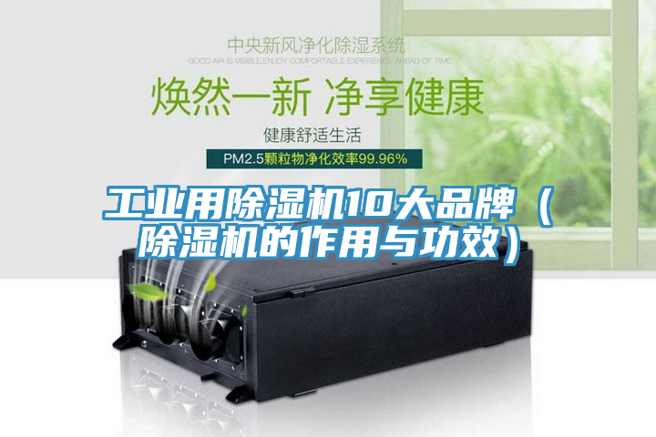 工業(yè)用除濕機(jī)10大品牌（除濕機(jī)的作用與功效）