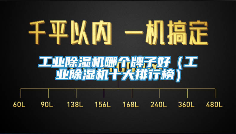 工業(yè)除濕機(jī)哪個牌子好（工業(yè)除濕機(jī)十大排行榜）