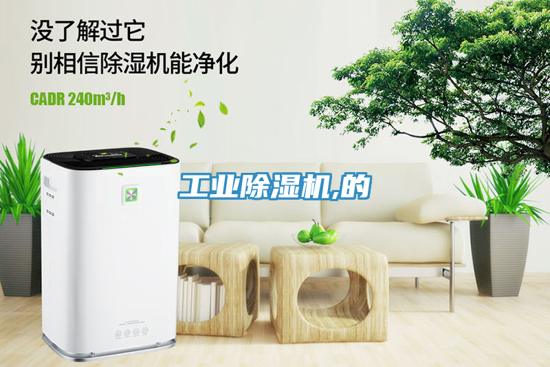 工業除濕機,的