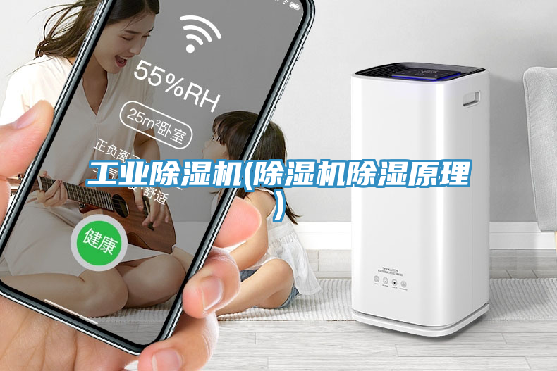 工業除濕機(除濕機除濕原理)