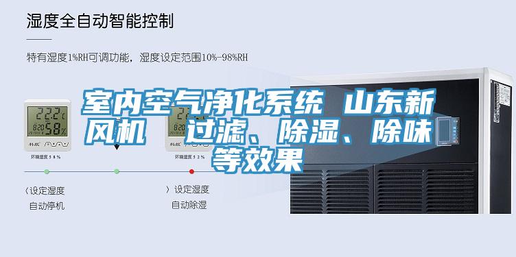 室內(nèi)空氣凈化系統(tǒng) 山東新風(fēng)機  過濾、除濕、除味等效果