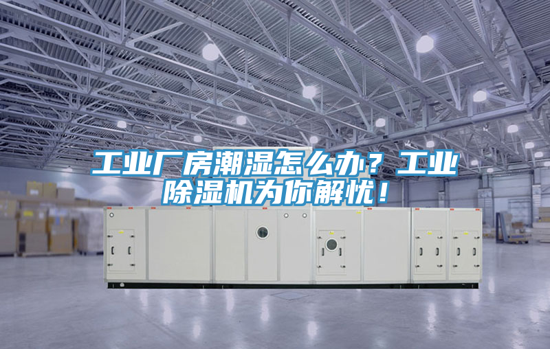 工業廠房潮濕怎么辦？工業除濕機為你解憂！