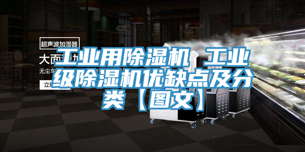 工業(yè)用除濕機(jī) 工業(yè)級除濕機(jī)優(yōu)缺點及分類【圖文】