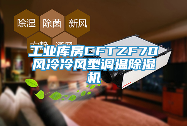工業庫房CFTZF70風冷冷風型調溫除濕機