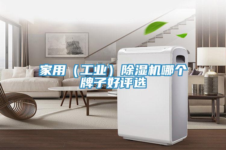 家用（工業）除濕機哪個牌子好評選