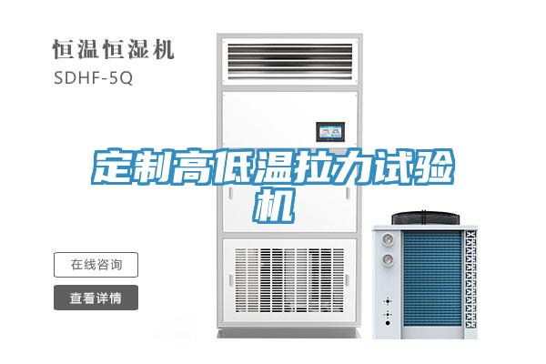 定制高低溫拉力試驗機(jī)