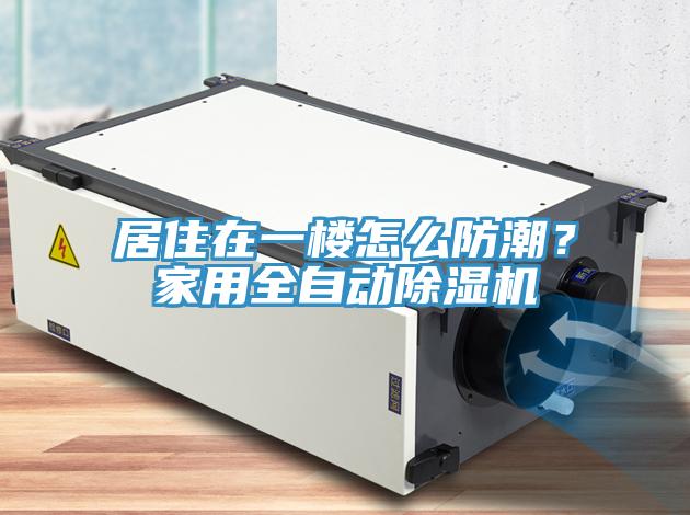 居住在一樓怎么防潮？家用全自動除濕機