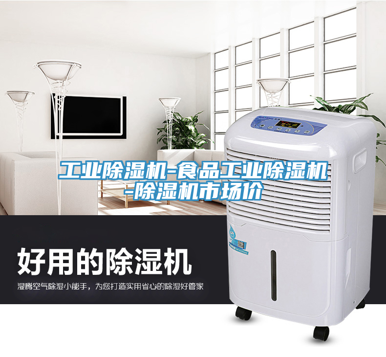 工業除濕機-食品工業除濕機-除濕機市場價