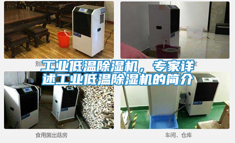 工業低溫除濕機，專家詳述工業低溫除濕機的簡介