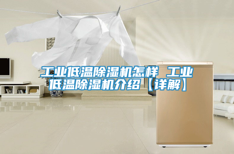 工業低溫除濕機怎樣 工業低溫除濕機介紹【詳解】