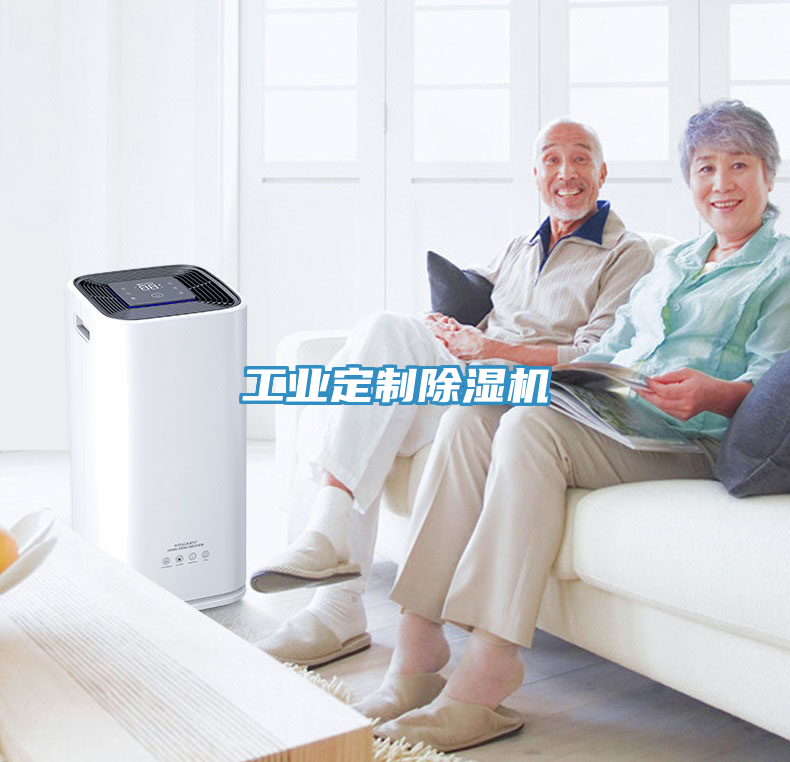 工業定制除濕機