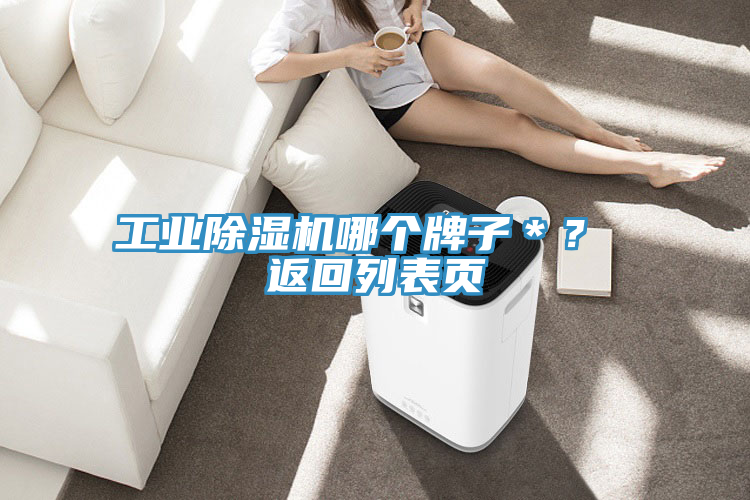 工業(yè)除濕機(jī)哪個牌子＊？ 返回列表頁