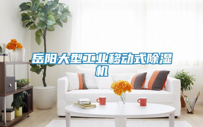 岳陽大型工業移動式除濕機
