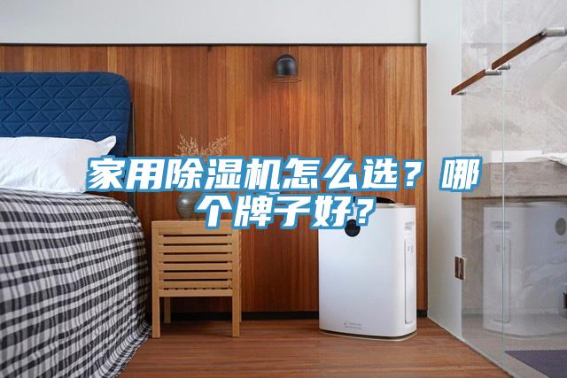 家用除濕機怎么選？哪個牌子好？