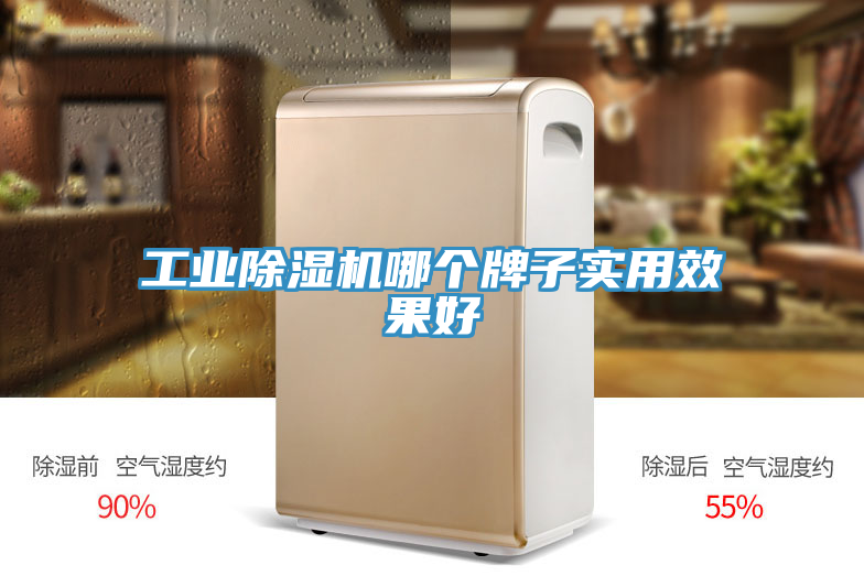 工業(yè)除濕機(jī)哪個牌子實用效果好