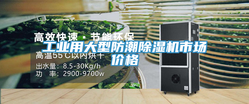 工業用大型防潮除濕機市場價格