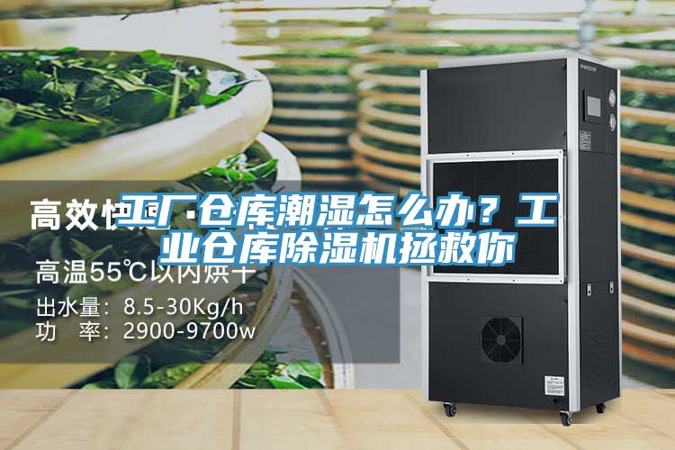 工廠倉庫潮濕怎么辦？工業倉庫除濕機拯救你