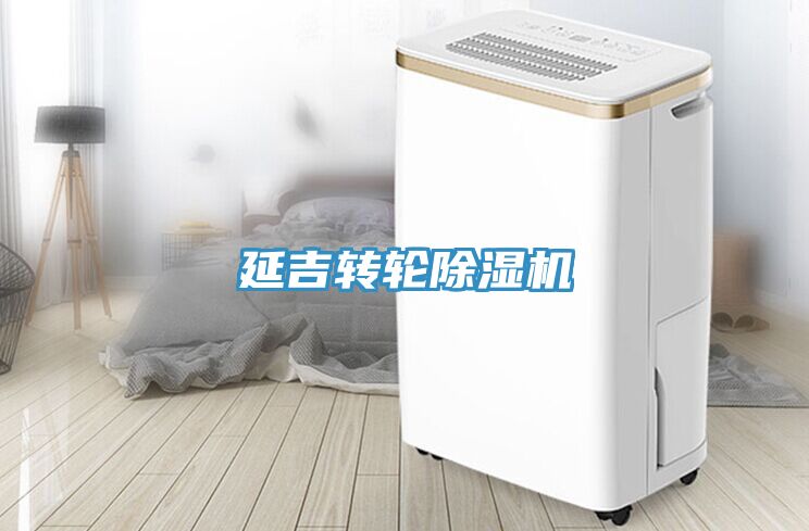 延吉轉輪除濕機