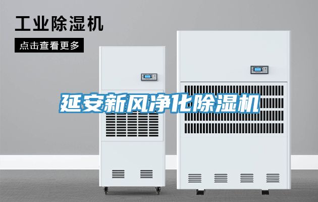 延安新風凈化除濕機
