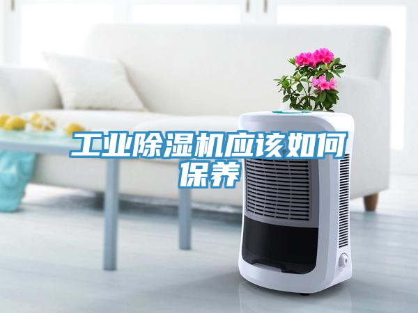 工業除濕機應該如何保養