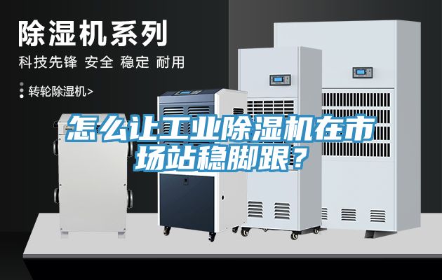 怎么讓工業除濕機在市場站穩腳跟？