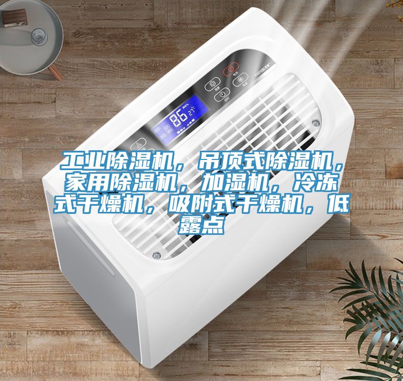 工業(yè)除濕機(jī)，吊頂式除濕機(jī)，家用除濕機(jī)，加濕機(jī)，冷凍式干燥機(jī)，吸附式干燥機(jī)，低露點(diǎn)