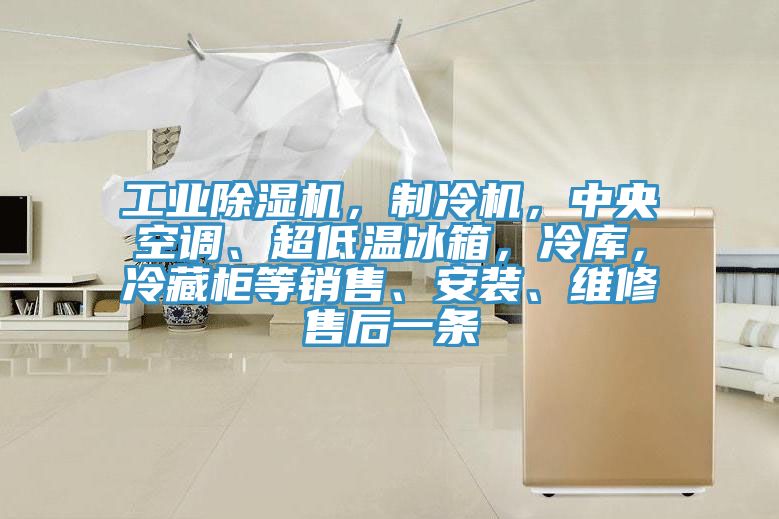 工業(yè)除濕機(jī)，制冷機(jī)，中央空調(diào)、超低溫冰箱，冷庫，冷藏柜等銷售、安裝、維修售后一條