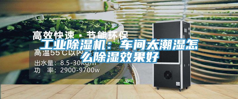 工業除濕機：車間太潮濕怎么除濕效果好