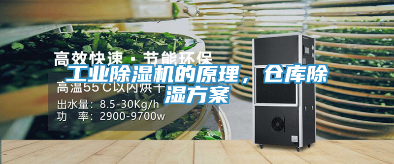 工業除濕機的原理，倉庫除濕方案