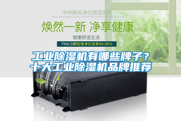 工業除濕機有哪些牌子？十大工業除濕機品牌推薦
