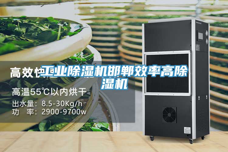 工業除濕機邯鄲效率高除濕機
