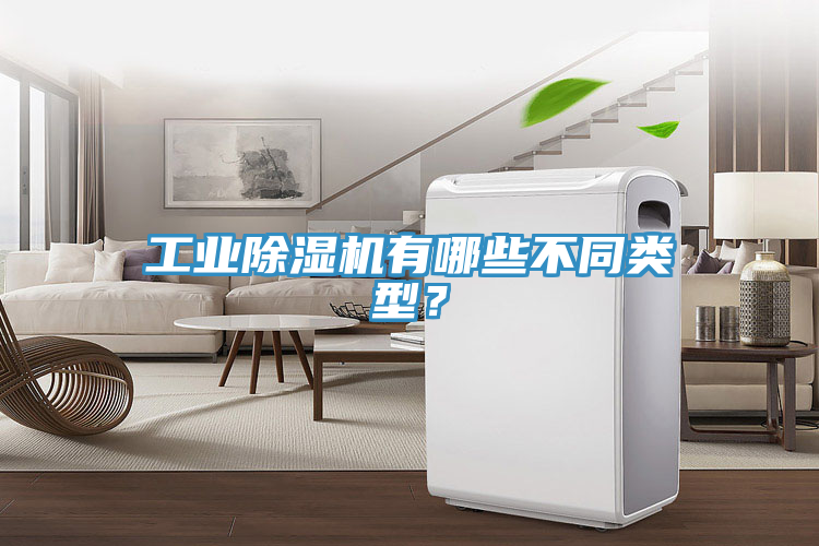 工業除濕機有哪些不同類型？