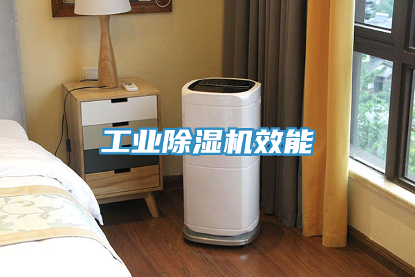 工業除濕機效能