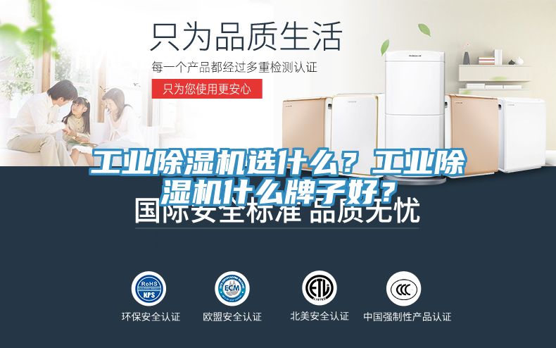 工業除濕機選什么？工業除濕機什么牌子好？