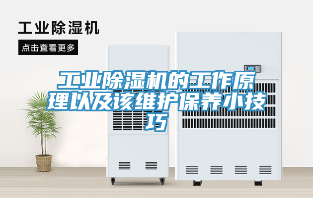 工業除濕機的工作原理以及該維護保養小技巧